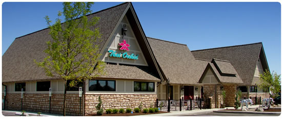 New Thai Orchid, Powell