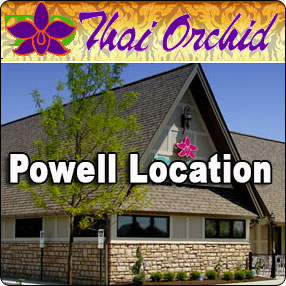 Thai Orchid
